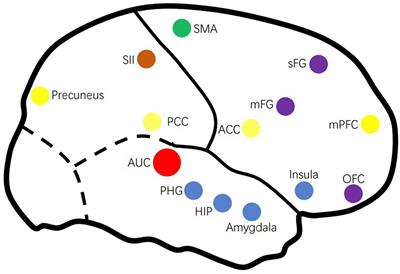 The Neural Mechanisms of Tinnitus: A Perspective From Functional Magnetic Resonance Imaging